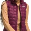 THE NORTH FACE The North Face Women'S Thermoball Eco Vest 2.0 | Coats, Jackets & Vests