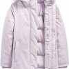 THE NORTH FACE The North Face Women Arctic Parka Winter Down Jacket (As1, Alpha, 3X, Regular, Regular, Lavender Fog) | Coats, Jackets & Vests